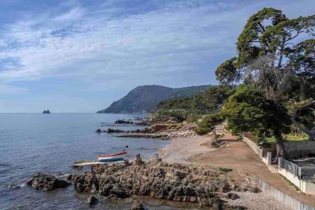 Le Criotto Apartment La Seyne-sur-Mer